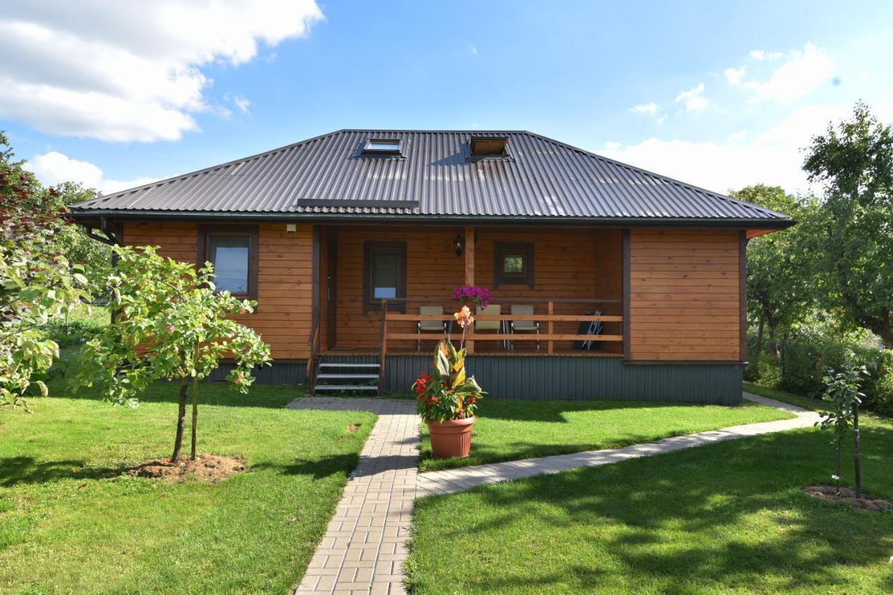 Vasarnamis Zarasuose Villa Zarasai Bagian luar foto