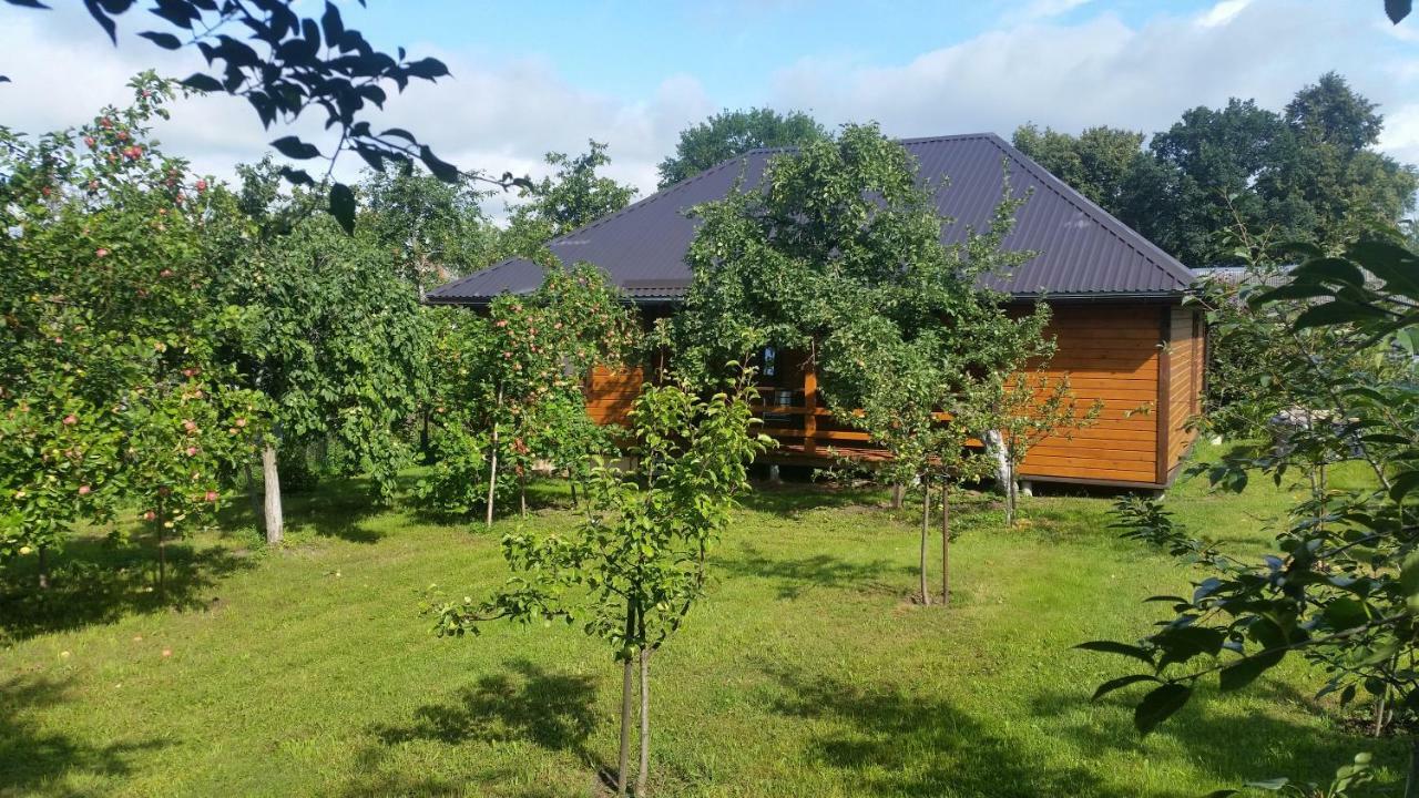 Vasarnamis Zarasuose Villa Zarasai Bagian luar foto