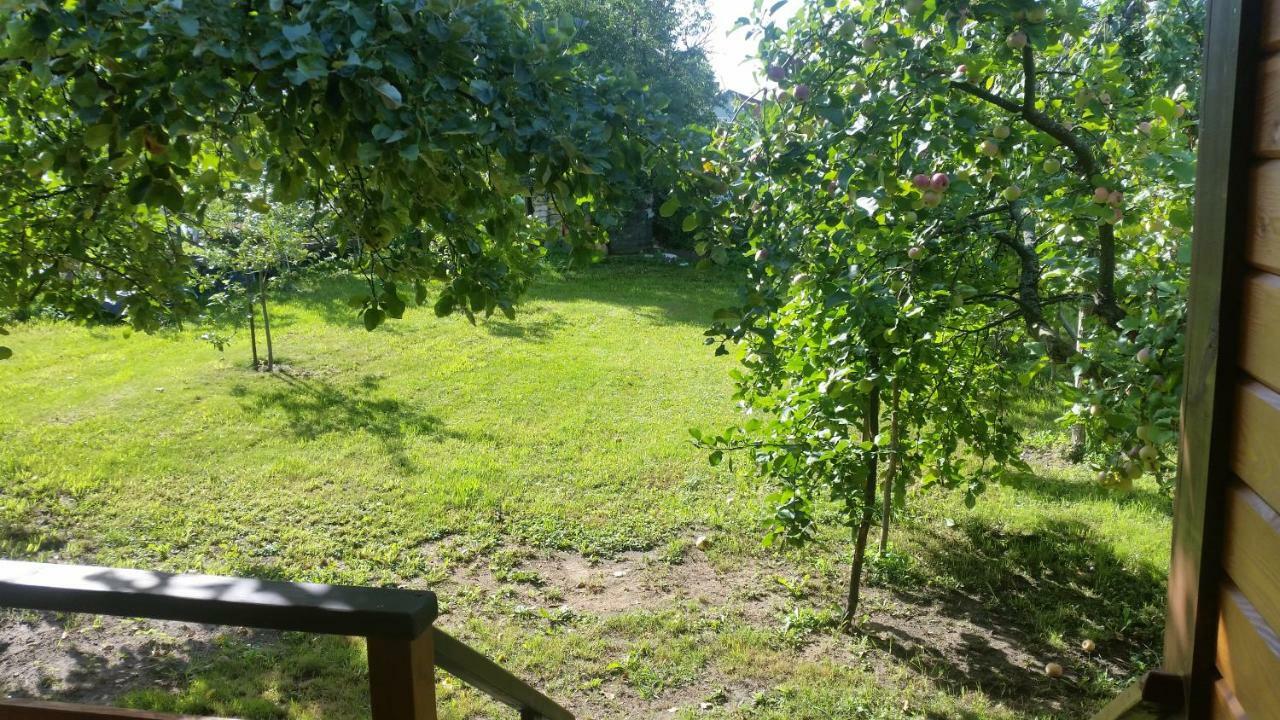 Vasarnamis Zarasuose Villa Zarasai Bagian luar foto