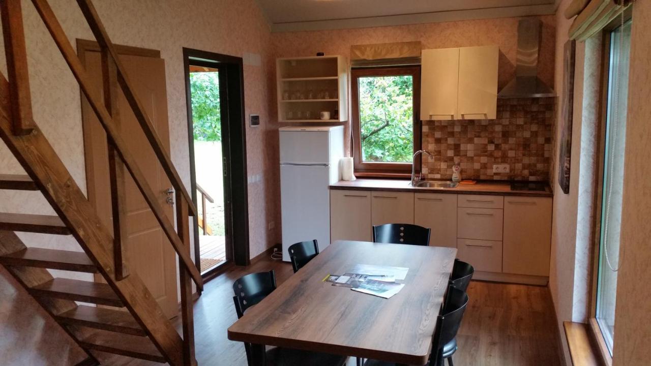 Vasarnamis Zarasuose Villa Zarasai Bagian luar foto